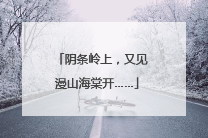 阴条岭上，又见漫山海棠开……
