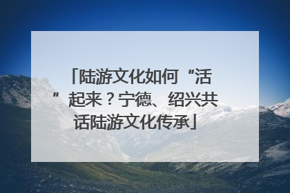 陆游文化如何“活 ”起来？宁德、绍兴共话陆游文化传承
