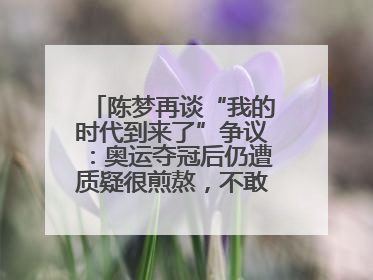 陈梦再谈“我的时代到来了”争议：奥运夺冠后仍遭质疑很煎熬，不敢再这么说了