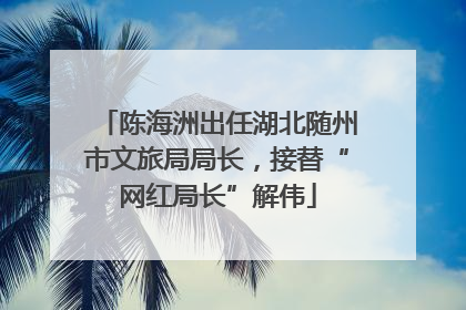 陈海洲出任湖北随州市文旅局局长，接替“网红局长”解伟