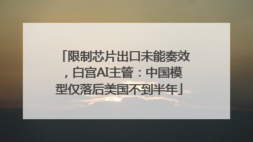 限制芯片出口未能奏效，白宫AI主管：中国模型仅落后美国不到半年