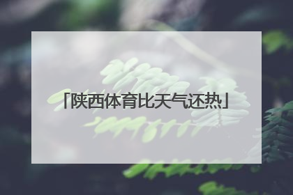陕西体育比天气还热