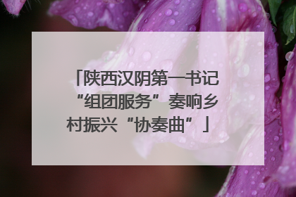 陕西汉阴第一书记“组团服务”奏响乡村振兴“协奏曲”