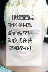 陕西西咸新区乡村旅游消费季启动仪式在茯茶镇举办