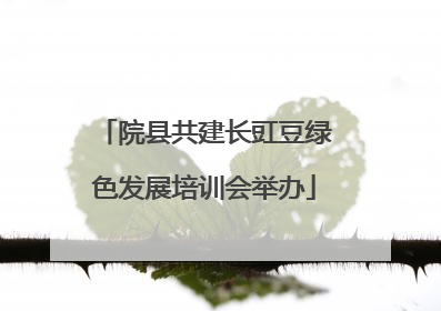 院县共建长豇豆绿色发展培训会举办