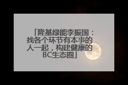 隆基绿能李振国：找各个环节有本事的人一起，构建健康的BC生态圈