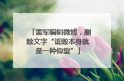 雷军编辑微博，删除文字“诋毁本身就是一种仰望”