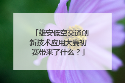 雄安低空交通创新技术应用大赛初赛带来了什么？