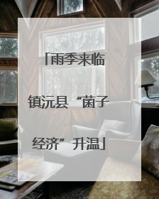 雨季来临 镇沅县“菌子经济”升温