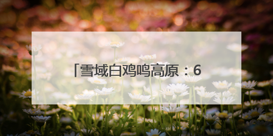 雪域白鸡鸣高原：6代科研人用62年孵化出了“金蛋蛋”