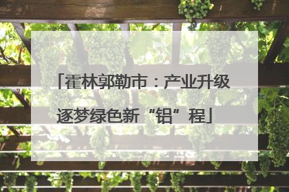 霍林郭勒市：产业升级逐梦绿色新“铝”程