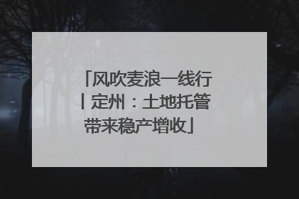 风吹麦浪一线行丨定州：土地托管带来稳产增收