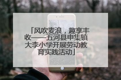 风吹麦浪，趣享丰收——五河县申集镇大李小学开展劳动教育实践活动