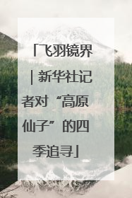 飞羽镜界｜新华社记者对“高原仙子”的四季追寻