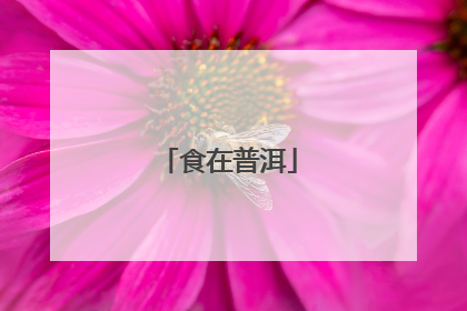 食在普洱