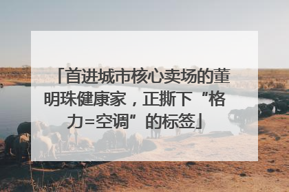 首进城市核心卖场的董明珠健康家，正撕下“格力=空调”的标签