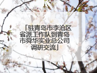 驻青岛市李沧区省派工作队到青岛市舜华实业总公司调研交流