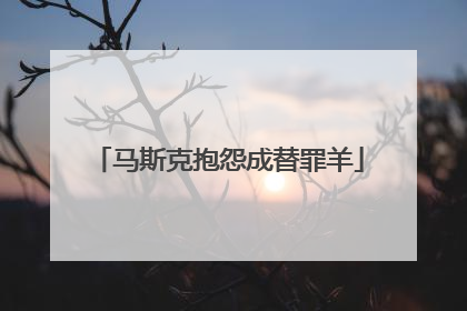 马斯克抱怨成替罪羊