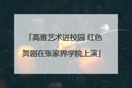 高雅艺术进校园 红色舞剧在张家界学院上演