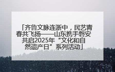 齐鲁文脉连浙中，民艺青春共飞扬——山东携手磐安共启2025年“文化和自然遗产日”系列活动