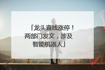 龙头直线涨停！两部门发文，涉及智能机器人