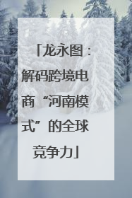 龙永图：解码跨境电商“河南模式”的全球竞争力