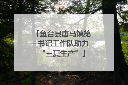 鱼台县唐马镇第一书记工作队助力“三夏生产”