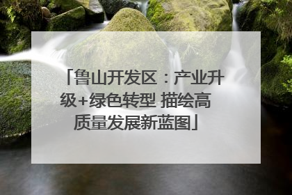 鲁山开发区：产业升级+绿色转型 描绘高质量发展新蓝图