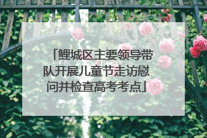 鲤城区主要领导带队开展儿童节走访慰问并检查高考考点