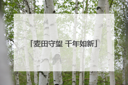 麦田守望 千年如新