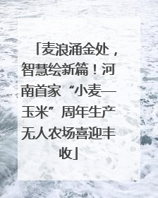 麦浪涌金处，智慧绘新篇！河南首家“小麦—玉米”周年生产无人农场喜迎丰收
