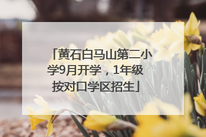 黄石白马山第二小学9月开学，1年级按对口学区招生