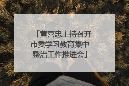黄喜忠主持召开市委学习教育集中整治工作推进会