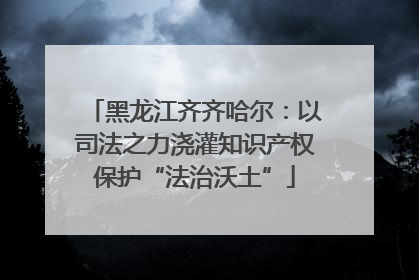 黑龙江齐齐哈尔：以司法之力浇灌知识产权保护“法治沃土”