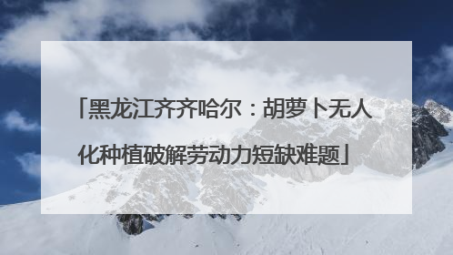 黑龙江齐齐哈尔：胡萝卜无人化种植破解劳动力短缺难题
