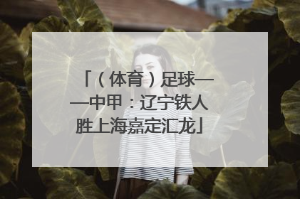 （体育）足球——中甲：辽宁铁人胜上海嘉定汇龙