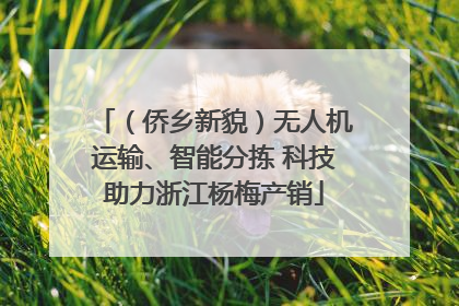 （侨乡新貌）无人机运输、智能分拣 科技助力浙江杨梅产销