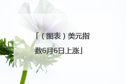 （图表）美元指数6月6日上涨