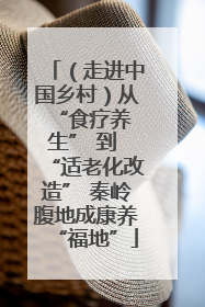 （走进中国乡村）从 “食疗养生” 到 “适老化改造” 秦岭腹地成康养“福地”