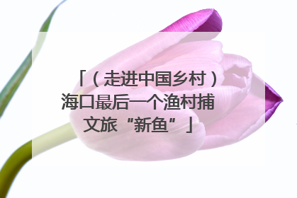 （走进中国乡村）海口最后一个渔村捕文旅“新鱼”