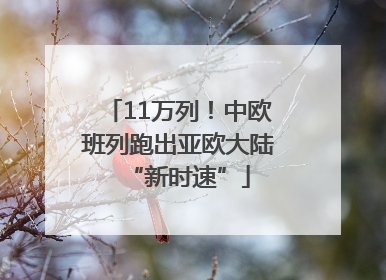 11万列！中欧班列跑出亚欧大陆“新时速”