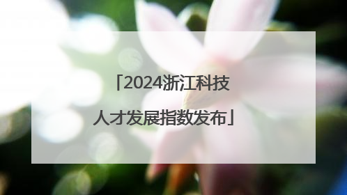 2024浙江科技人才发展指数发布