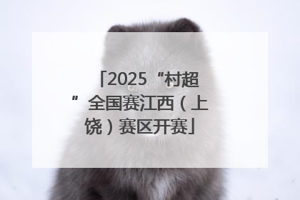 2025“村超”全国赛江西（上饶）赛区开赛