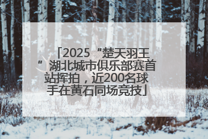 2025“楚天羽王”湖北城市俱乐部赛首站挥拍，近200名球手在黄石同场竞技