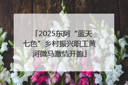 2025东阿“蓝天七色”乡村振兴职工黄河微马激情开跑