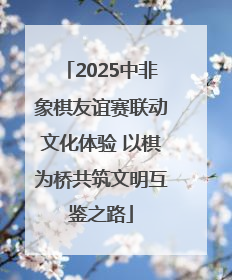 2025中非象棋友谊赛联动文化体验 以棋为桥共筑文明互鉴之路