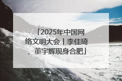 2025年中国网络文明大会丨李佳琦、董宇辉现身合肥