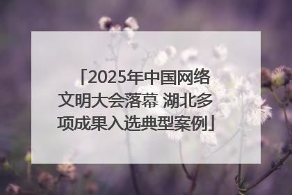 2025年中国网络文明大会落幕 湖北多项成果入选典型案例