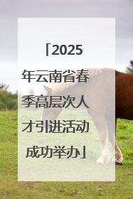 2025年云南省春季高层次人才引进活动成功举办