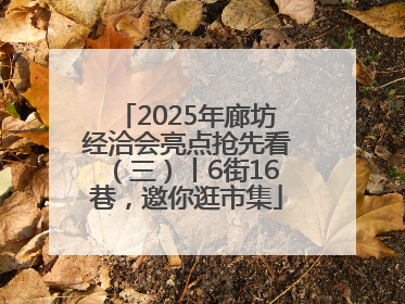 2025年廊坊经洽会亮点抢先看（三）丨6街16巷，邀你逛市集